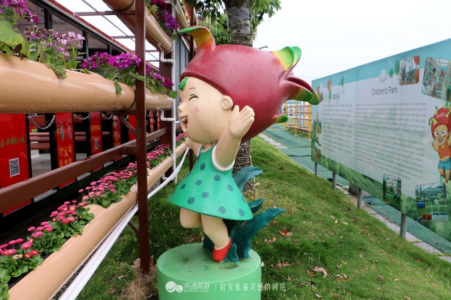 米果果小镇,一个火龙果的王国