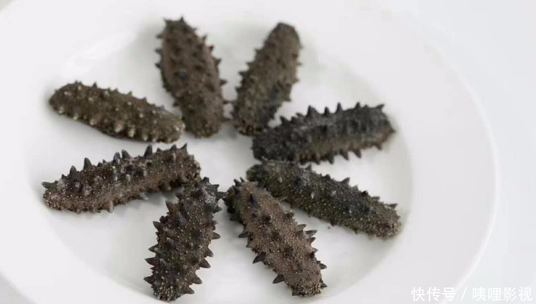 带你走进斗鱼的特征海参鱼丸卡外形图片