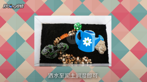 鱼缸漏水带水怎么处理（鱼缸漏水带水怎么处理好）