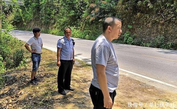 女游客在西双版纳野象活动区下车上厕所,遭野