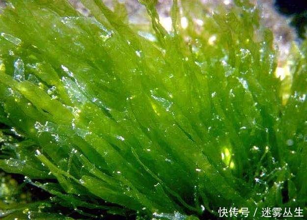 一岁宝宝因为这个动作变成脑瘫,很多家长都在