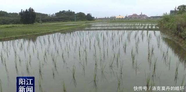 合作社注册商标