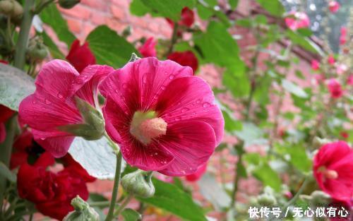 6句鼓舞人心的句子,句句暖心,值得一看