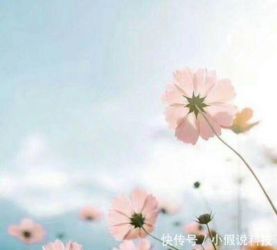 2018微信唯美暖心风景头像高清大全!