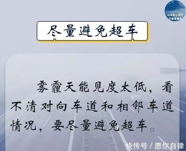 t0135aece542adea87e.jpg?size=600x488