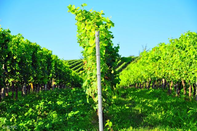 2018年国家扶持农村农业的新路子