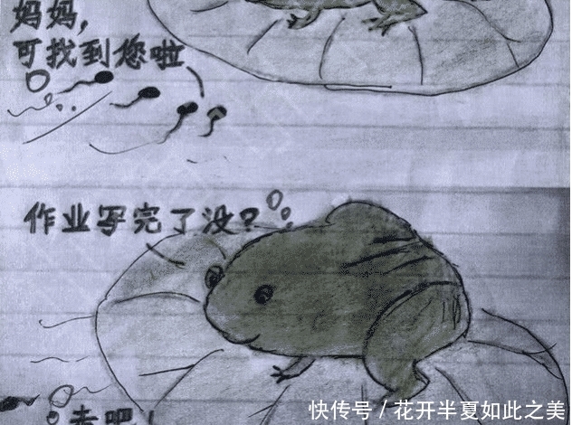 小学生倒数第一智商走红,试卷:你的老师已经书本版本小学图片