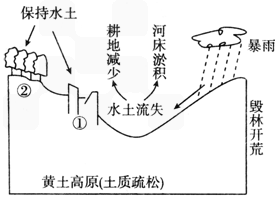 从陆地环境的整体性考虑,应如何解决黄土高原的水土流失问题