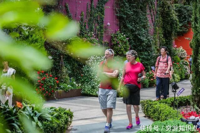 这是什么节奏？新加坡竟然花了10亿打造“原始森林”
