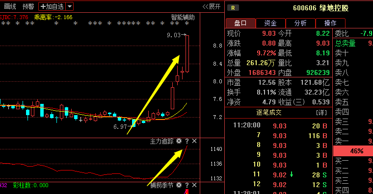 泰禾集团强势雄起,房地产已经起飞,绿地控股或