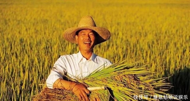 农场、合作社、农业公司有啥区别?补贴优势是