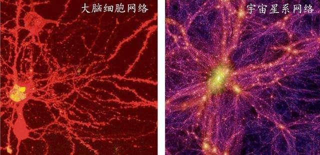 宇宙万物生长极其相似，被自然规律所控制，恰恰验证了古老预言