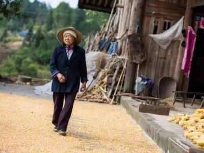 土地永久性转让合法吗