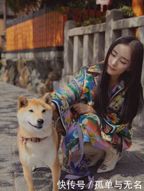 杨幂樱花妆时尚唯美封面,透露着一种小女生的