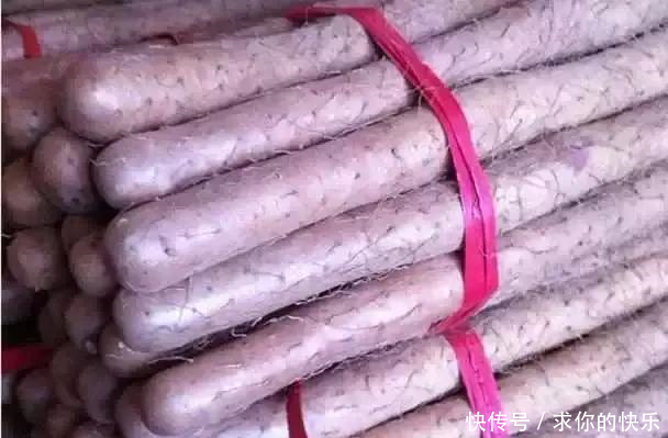 厉害了,河南这5个县市区被教育部点名,未来发展要逆天!