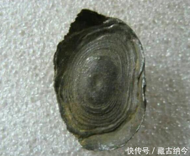 农民自家发现一枚老银锭,重29G ,拿出后发生一事,不可思议