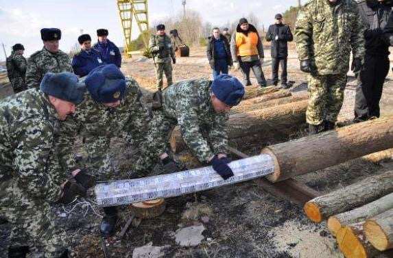 安检人员查获一大批空心木头，打开后检查，众人呆住了