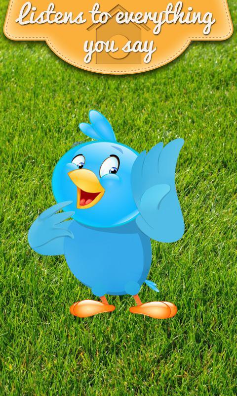 funny talking bird is the best talking bird that can dance
