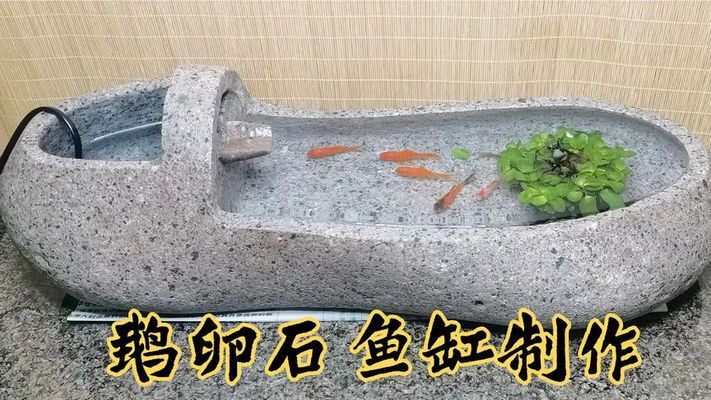 成都魚缸售后維護 彩鰈魚缸（彩蝶魚缸）