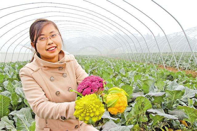 新春走基层|为带动村民建蔬菜大棚 她在大棚内办婚礼