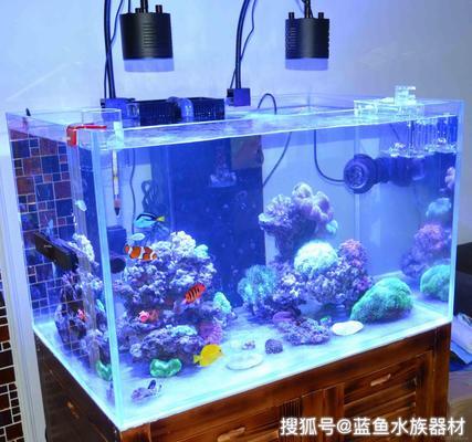 開水給魚缸消毒可以嗎視頻（用開水給魚缸消毒）