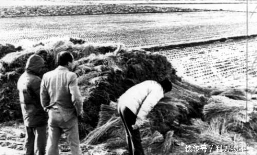 殺人回憶原型不能被判刑? 華城連環殺人事件始末細節當年現場慘烈圖曝光(5)