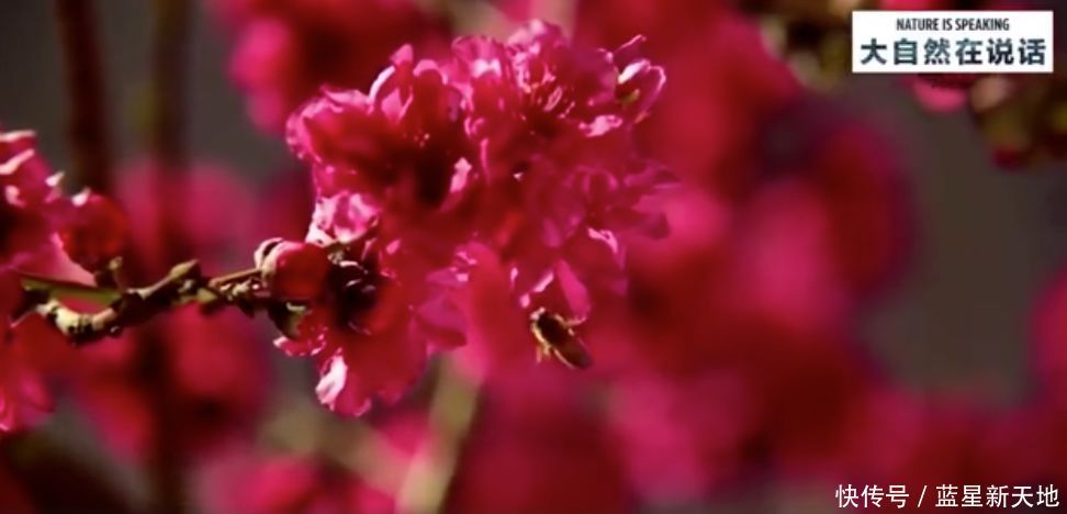 t0145bd2d3b2d41f29b.jpg?size=972x468