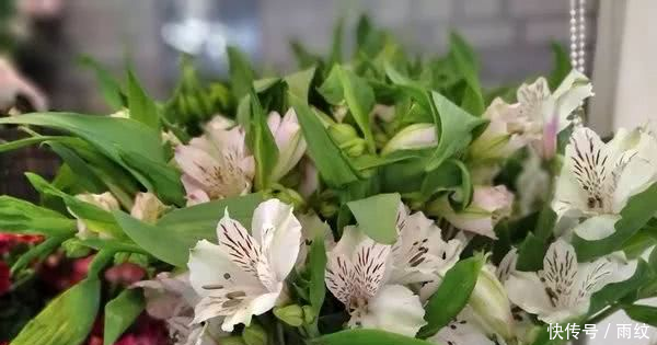 努比亚N3好不好努比亚N3手机体验评测