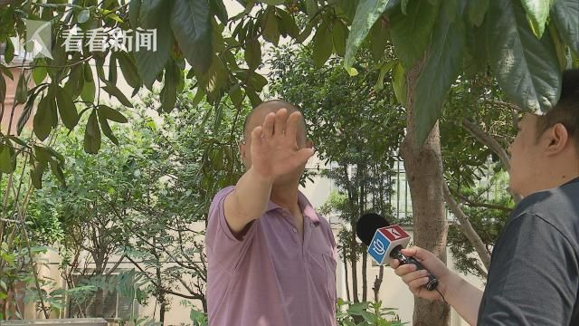 居民为吃枇杷砍倒枇杷树 砍树取果被批太野蛮