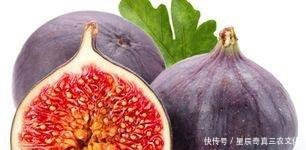 t0146cf97ecccb21e4e.jpg
