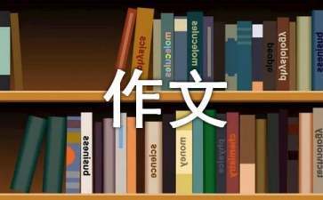 濟寧尚宇水族用品有限公司（濟寧尚宇水族用品有限公司電話） 水族用品