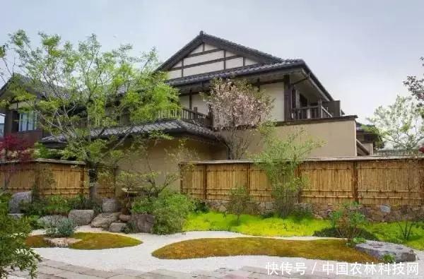 从无到有，年入6亿的特色小镇是如何炼成的？