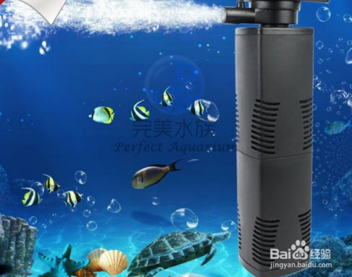 武漢魚缸維修電話地址查詢 水族問答