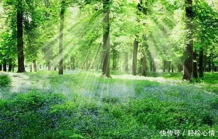 做 人 , 少 玩 心 眼!