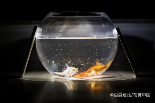 溫馨水族（溫馨水處理科技發(fā)展有限公司）