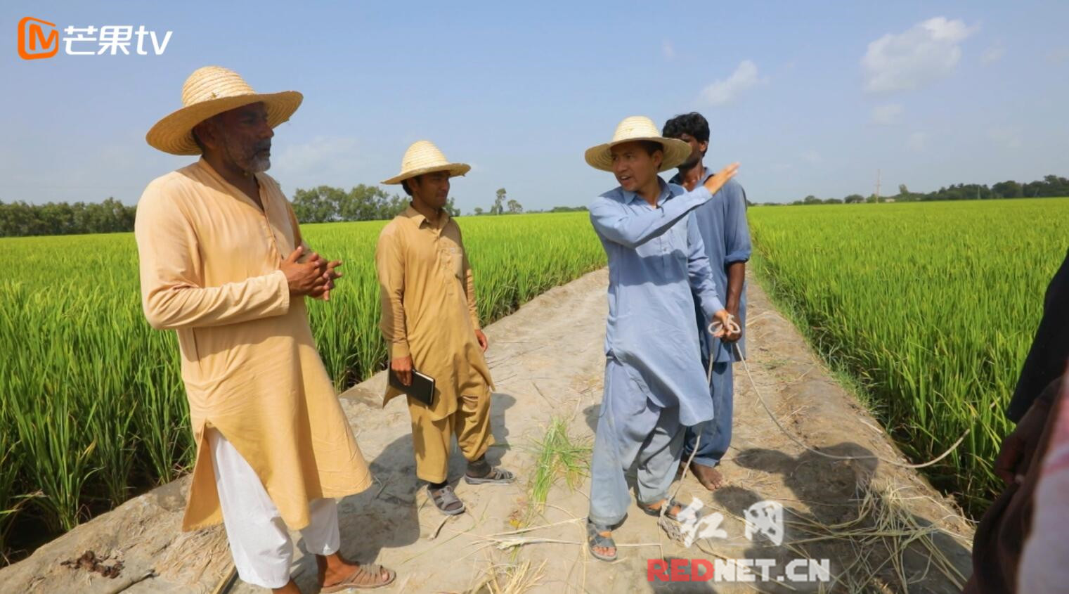 《我的青春在丝路》开播 中国青年巴基斯坦种水稻被赞\＂不负青春