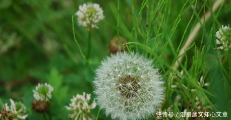 t01492c4aecd2c0e2b0.jpg