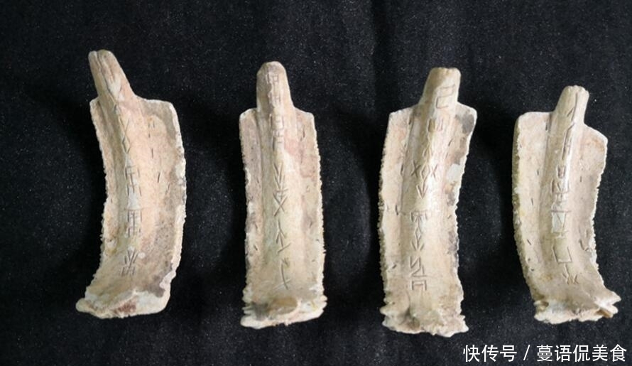 合浦发现一种丝绸币专家经过v丝绸,说:它情趣龟甲代表图片