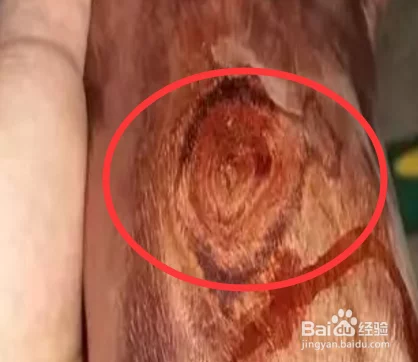 怎样辨别黄花梨木手串(如何识别黄花梨木的香味)