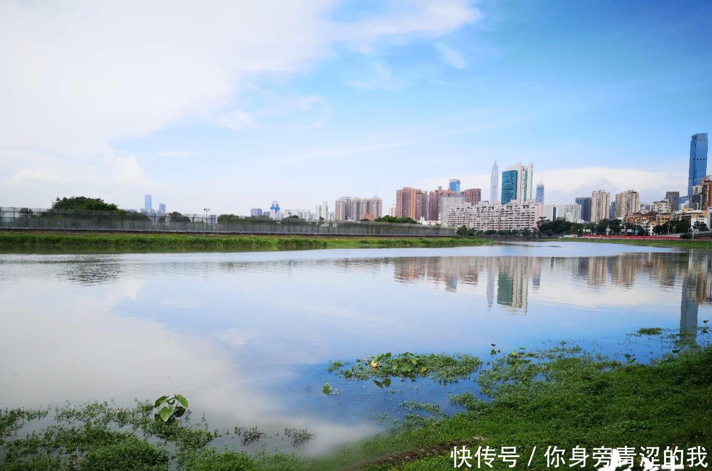 t014f0c5c438017cdd0.jpg?size=1440x953