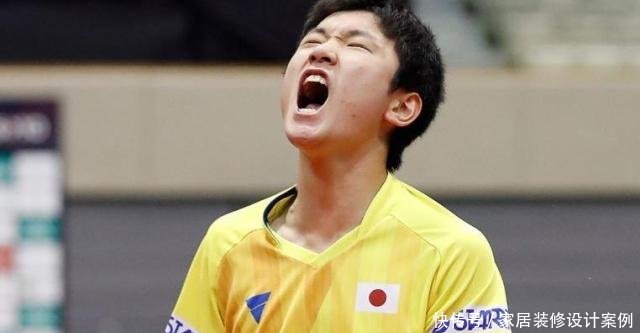 2019布达佩斯世乒赛紧锣密鼓,顶尖选手名单,樊