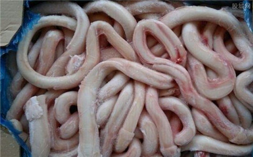 王祖蓝被谢霆锋骗吃牛鞭 男人吃牛鞭有什么作