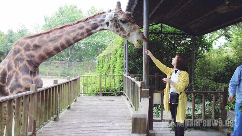 清明挑一个5A级景区出发 盘点适合清明假期旅游的景点