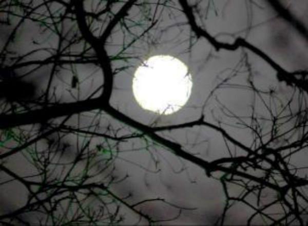 不孝子赌输了钱,纠集孤朋狗友掘父亲坟头,看那