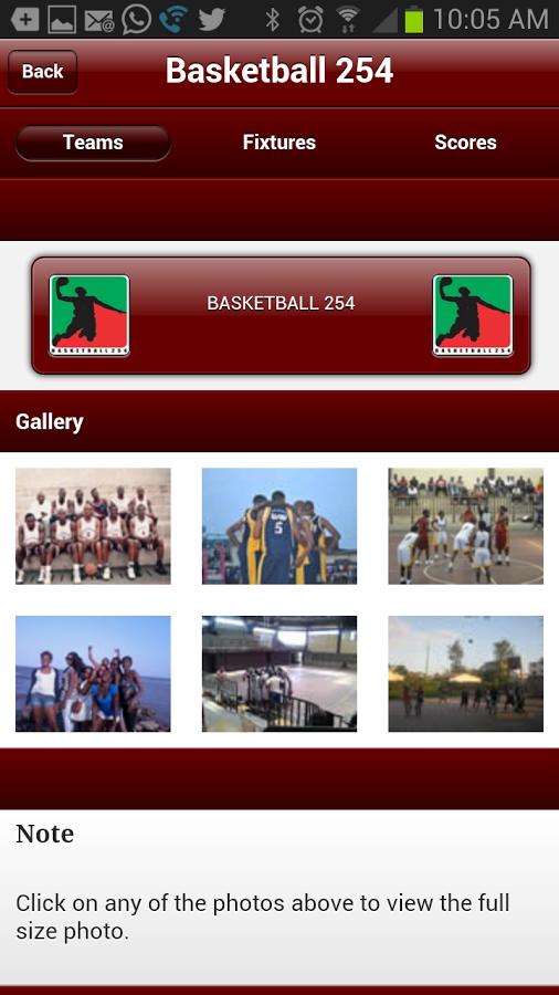 Basketball 254截图4