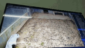 t01522ec3288ed681a4.gif?size=280x158