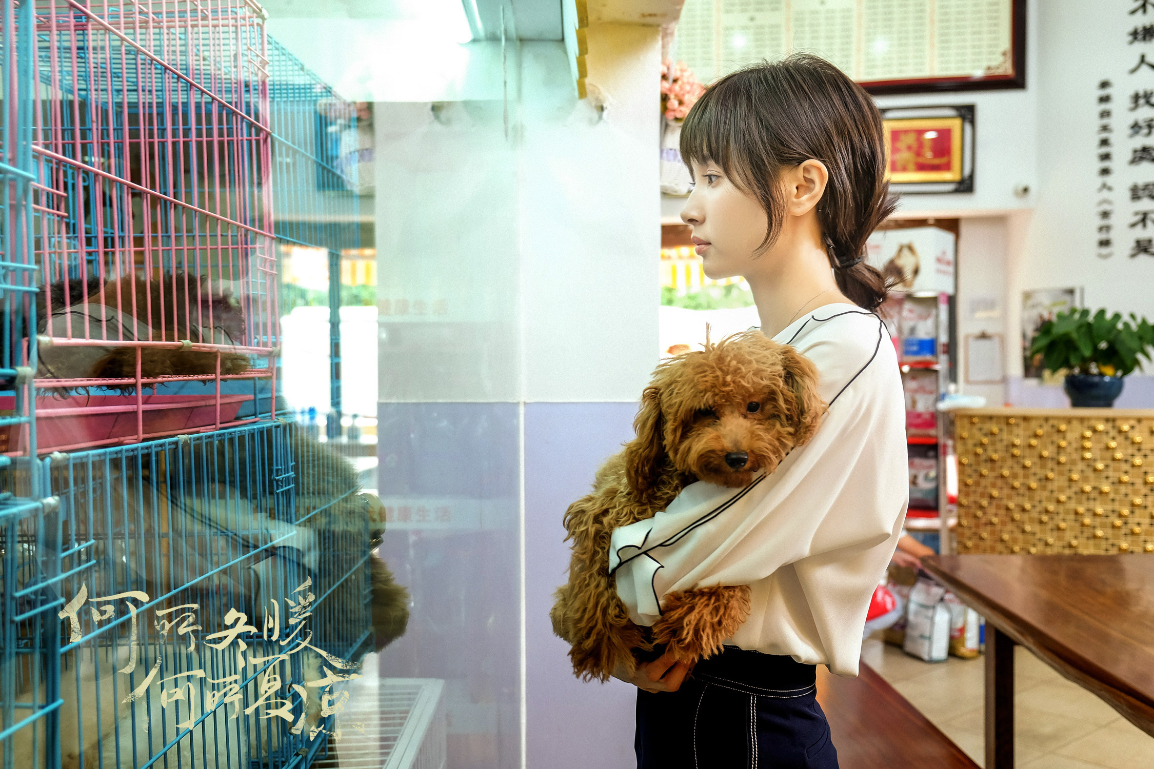 王子文长发变温柔?《何所》开播 新角色与“曲筱绡”大不同