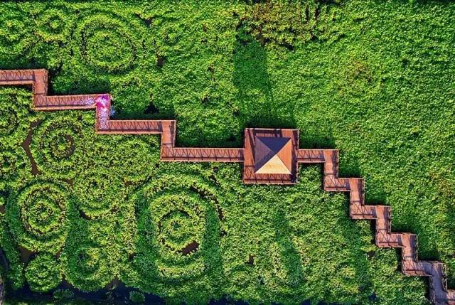 崇明生活网招聘怎么注册