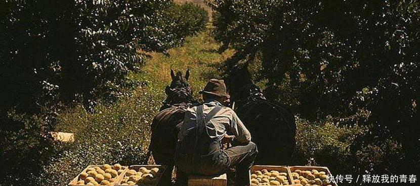 英国人民失业了, 如何度过战后经济大萧条的困