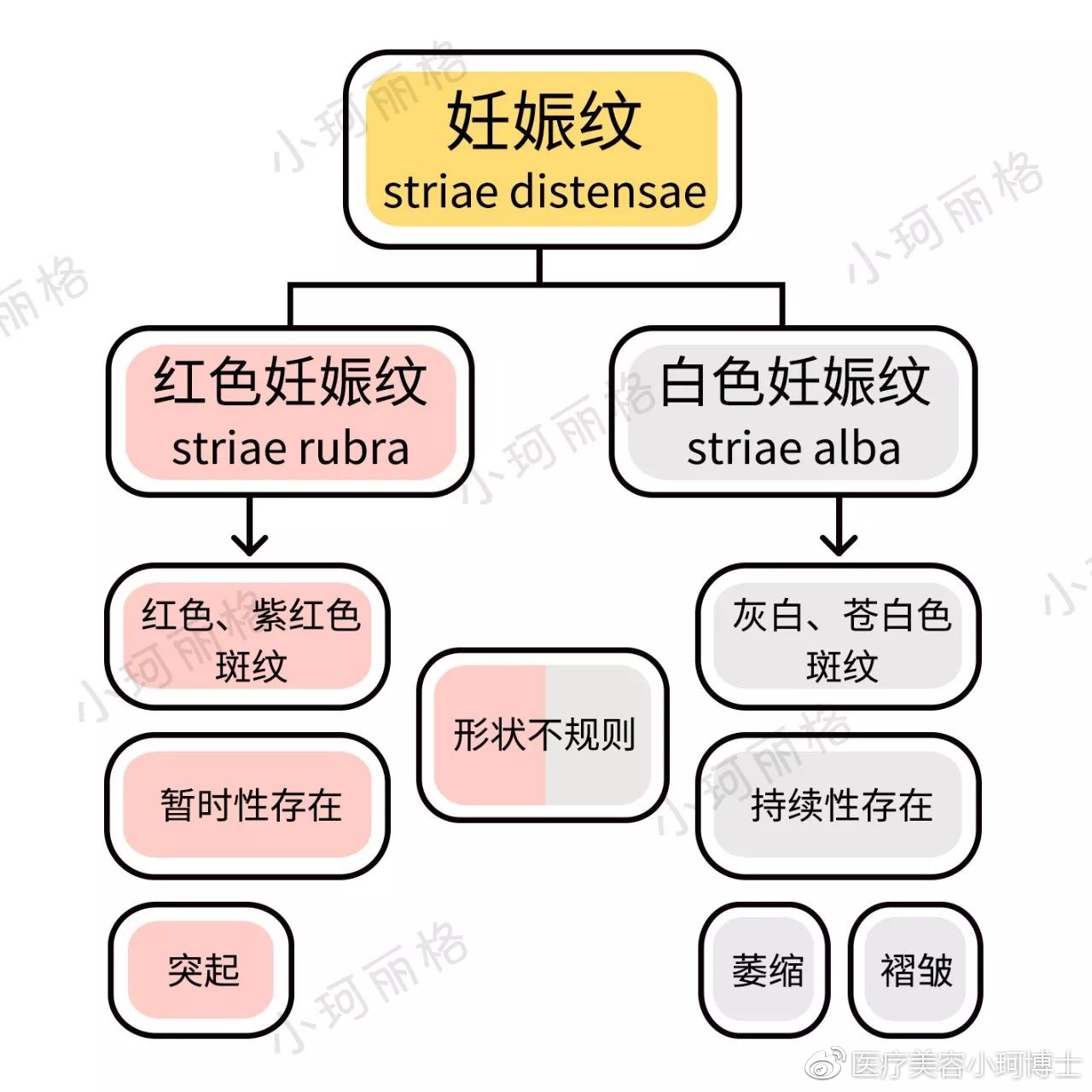 看完这篇v女人纹女人,80%的科普开始衣服需要照镜子具备室内设计脱掉从事什么条件图片